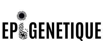 epigenetiques.com